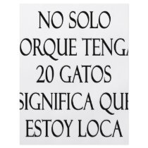 No Solo Porque Tenga 20 Gatos Significa Que Estoy Flyers