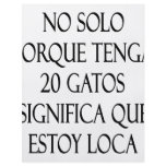 No Solo Porque Tenga 20 Gatos Significa Que Estoy flyers