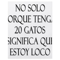 No Solo Porque Tenga 20 Gatos Significa Que Estoy Personalized Flyer