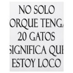 No Solo Porque Tenga 20 Gatos Significa Que Estoy flyers