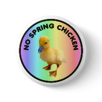 No Spring Chicken Button