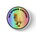 No Spring Chicken Button by burntright No Spring Chicken Button