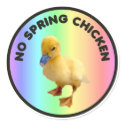 No Spring Chicken Sticker by burntright No Spring Chicken Sticker