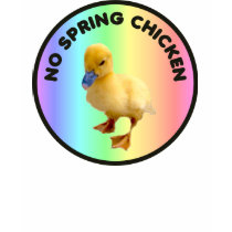 No Spring Chicken T-Shirt by burntright No Spring Chicken T-Shirt