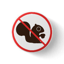 No Squirrels Pinback Buttons