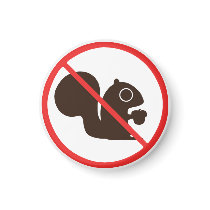No Squirrels magnets by jennsdoodleworld No Squirrels magnets