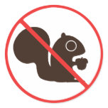 No Squirrels Round Stickers