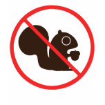 No Squirrels Tshirts