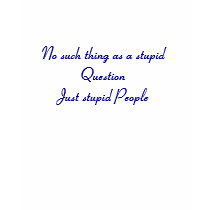 No such thing as a stupid QuestionJust stupid P... t-shirts
