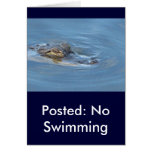 No Swimming - Alligator Card No Swimming - Alligator Card