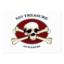 No Treasure Pirate Skull Business Card