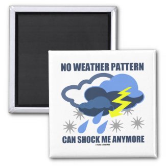 No Weather Pattern Can Shock Me Anymore Refrigerator Magnet