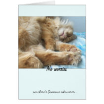 No worries cards by dikaios No worries cards