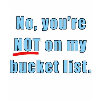 No, You're Not on My Bucket List Tshirt shirt