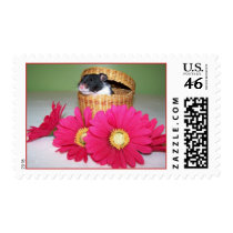 noah boy stamps by KatAnnette noah boy stamps