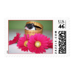 noah boy stamps