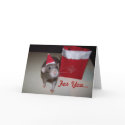 Noah Christmas Card 2 by artistinsane Noah Christmas Card 2