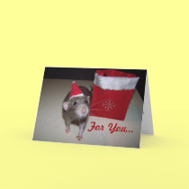 Noah Christmas Card 2