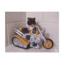 noah cycle postcard