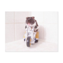 noah yellow cycle postcards by KatAnnette noah yellow cycle postcards