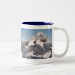 Noahs Ark Mug