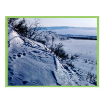 Noatak River in Winter Postcard