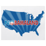 Nobamaland flyers