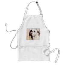 Noble Aprons