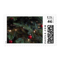 Noble Fir Up Close postage