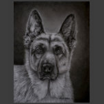 Noble - German Shepherd Dog Art Tee Shirts