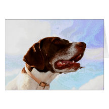 Noble german shorthaired pointer note cards