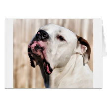 Noble Greeting Card