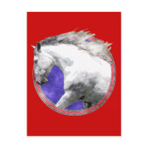 NOBLE HORSE POST CARD