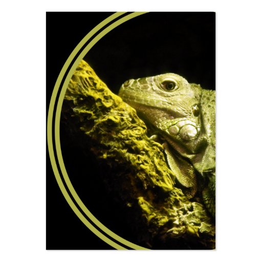 Noble Iguana Business Card (front side)