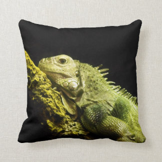 lizard pillow pet