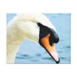 Noble Spirit | 14x11"  Mute Swan Wrapped Canvas canvas prints