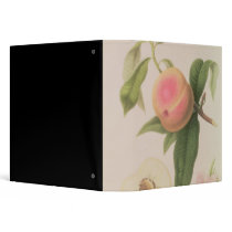 Noblesse Peach 3 Ring Binders