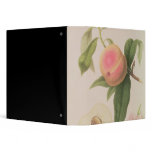 Noblesse Peach binders