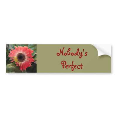 Nobody's Perfect Bumper Stickers by Priscilla48