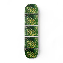 NOCKLIST CUSTOM SKATE BOARD