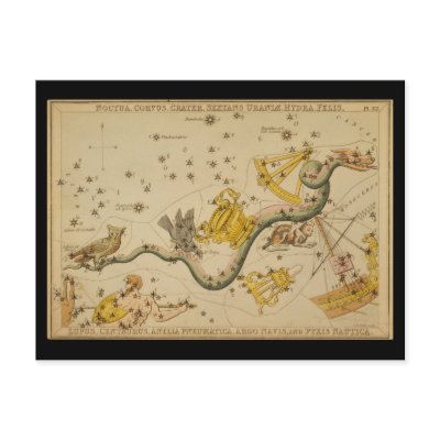 Noctua, Corvus, Hydra, Felis, Lupus, Centaurus, &c Postcard by ZephyrusBooks