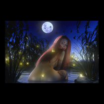 Nocturnal swim (horizontal) posters