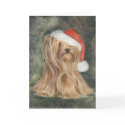 Noel cards