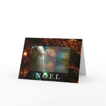 Noel-Holo-Hootin' Annies cards