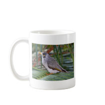 Noisy Miner Bird, Adelaide, Australia Coffee Mugs