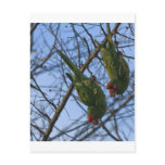 Noisy Neighbors Post Cards