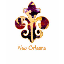 NOLA Painted Fleur de lis (3) t-shirts