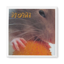 Nom! magnets