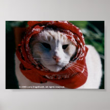 Nomad Kitty Poster