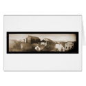 Nome City, AK Saloon Photo 1899 cards